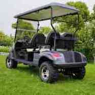 150CC 300CC 2 Seat gas Golf Cart Buggy CE approved China made 4 seat battery powered gasoline golf cart