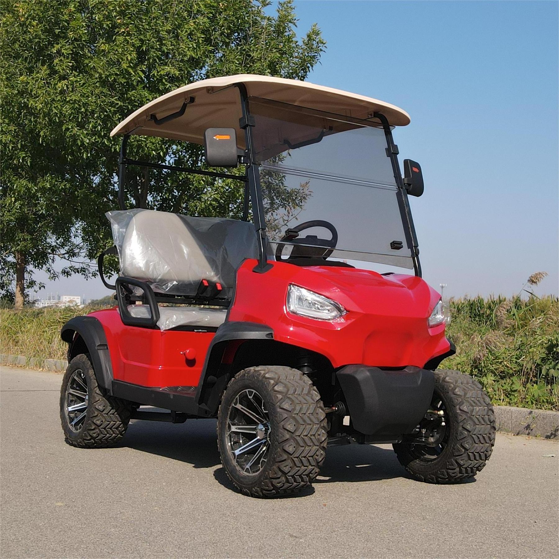 300cc Sightseeing Golf Cart 2 passengers Gasoline Golf Carts