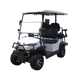 Shining  chinese New model  48v low cheap price electric 2 seat star used customized big golf cart buggy sale electric