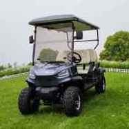 150CC 300CC 2 Seat gas Golf Cart Buggy CE approved China made 4 seat battery powered gasoline golf cart