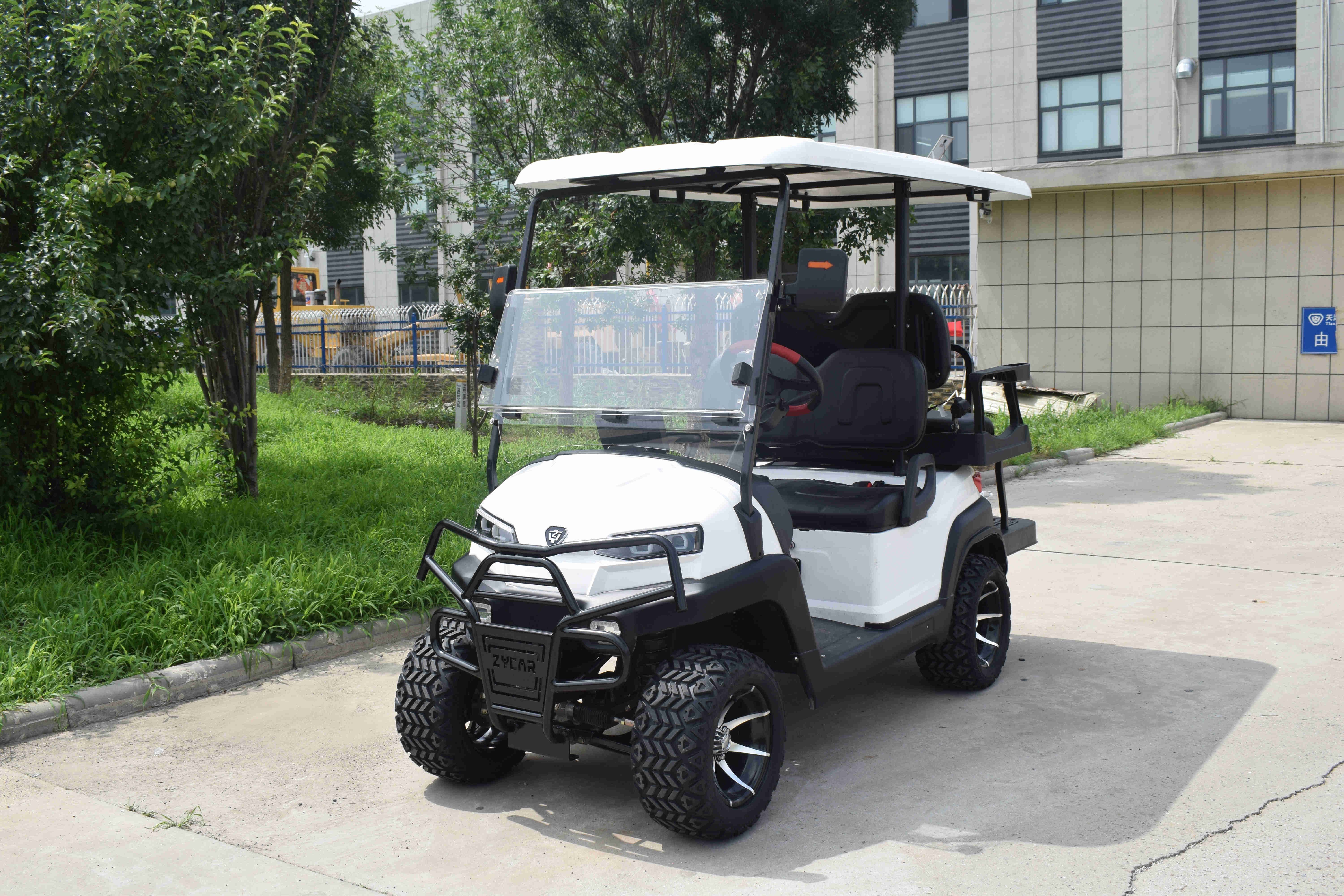 Shining  chinese New model  48v low cheap price electric 2 seat star used customized big golf cart buggy sale electric