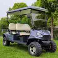 150CC 300CC 2 Seat gas Golf Cart Buggy CE approved China made 4 seat battery powered gasoline golf cart