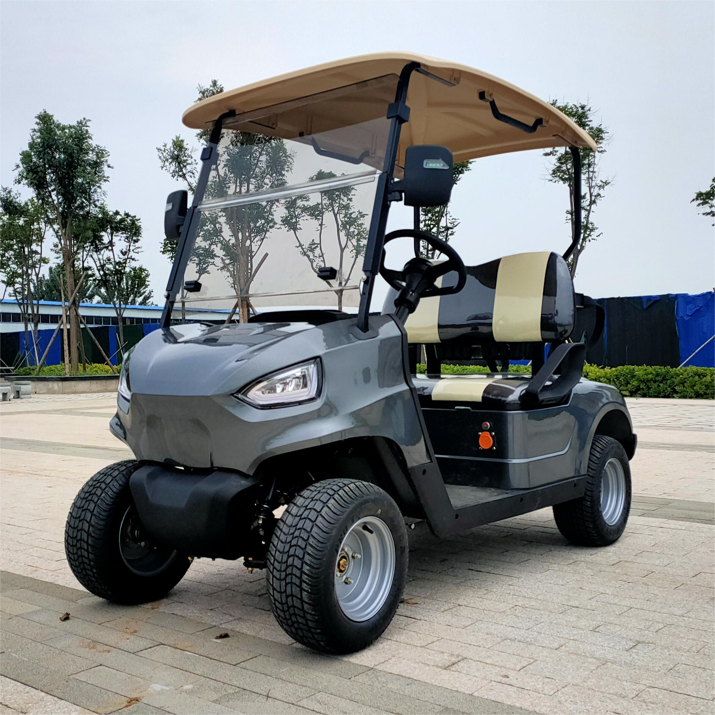 300cc Sightseeing Golf Cart 2 passengers Gasoline Golf Carts