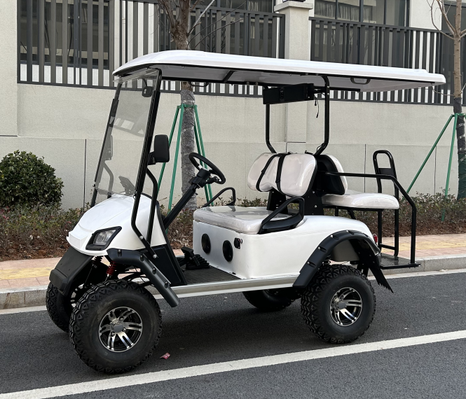 Shining brand electric garden utility vehicles New Designed lifted golf buggy golf carts for sale