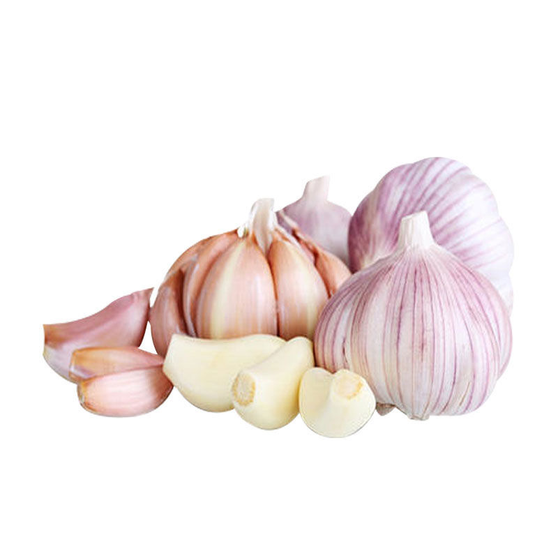 chinese solo wholesale price fresh peeled garlic in bulk