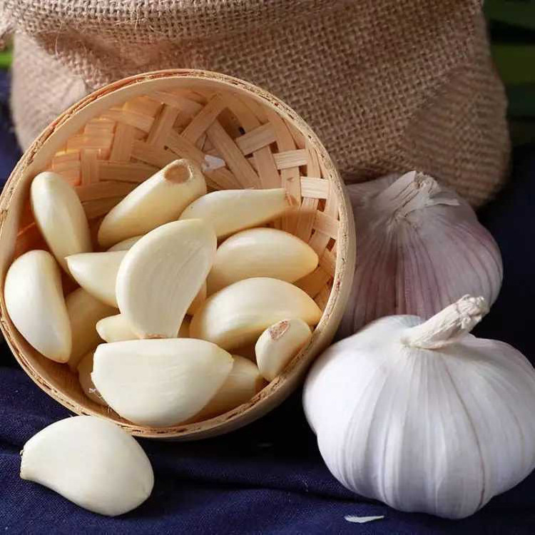 chinese solo wholesale price fresh peeled garlic in bulk