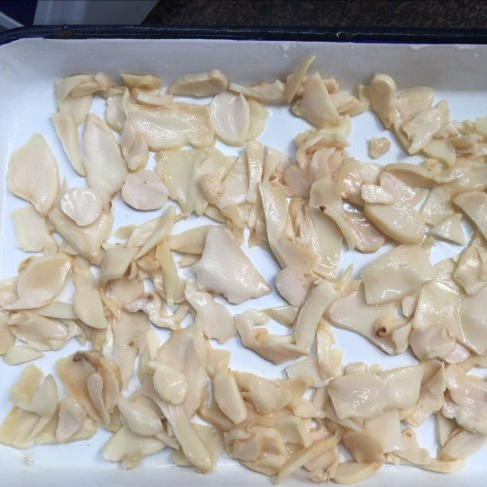 King Oyster Mushroom in Brine in drum raw materials for canned vegetables Factory Export Price