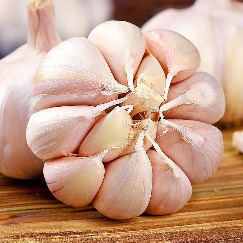 New crop Chinese fresh garlic in bulk fresh normal white red garlic ajos chino fresco alho from manufacturers low price