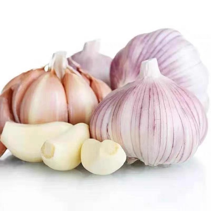 New crop Chinese fresh garlic in bulk fresh normal white red garlic ajos chino fresco alho from manufacturers low price