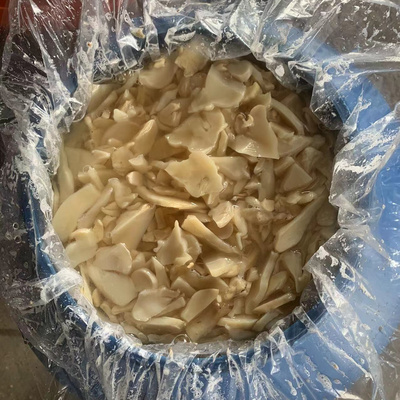 King Oyster Mushroom in Brine in drum raw materials for canned vegetables Factory Export Price