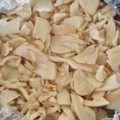 King Oyster Mushroom in Brine in drum raw materials for canned vegetables Factory Export Price