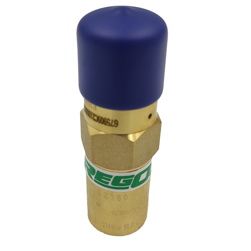 REGO PRV9433 Series Brass Cryogenic Gas Safety Valve LowTemperature Dewar Bottle Pressure Relief Valves 3/8