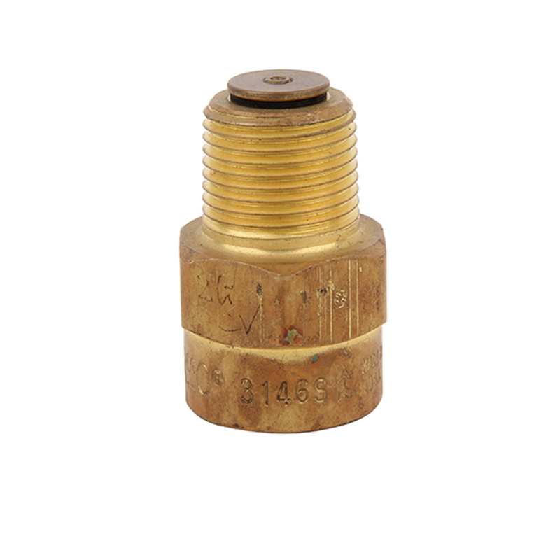 REGO 3146 Series LPG Gas Back Pressure Valves Combination Fill Valve for Container or Line Applications DN20