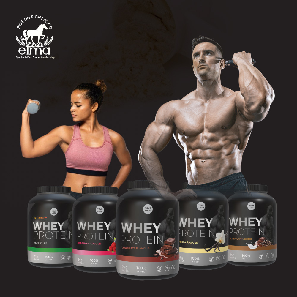 Direct Factory  Sport Supplement Whey Protein Powder Dark Chocolate Flavor Shakes for Muscle Gain Suitable for Daily Fitness