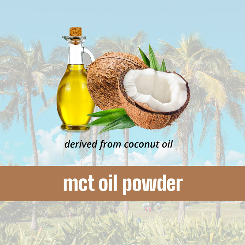 Premium Top Quality Vegetarian Coconut MCT Oil Powder with Good of Energy Source and Meal Replacement