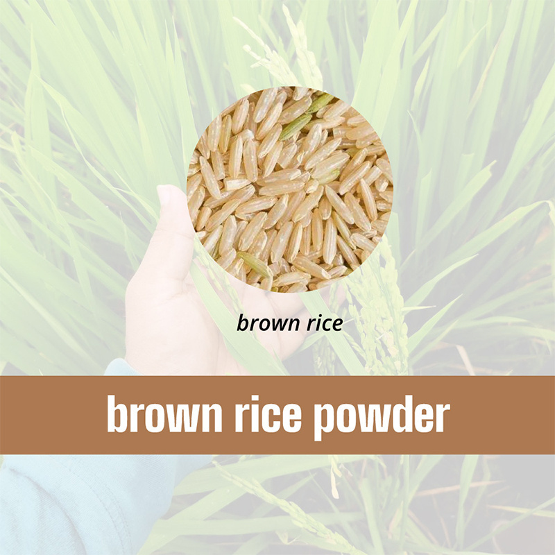 Wholesome Choice Halal Extruded Brown Rice Powder with Sugar Free and Suitable For Meal Replacements