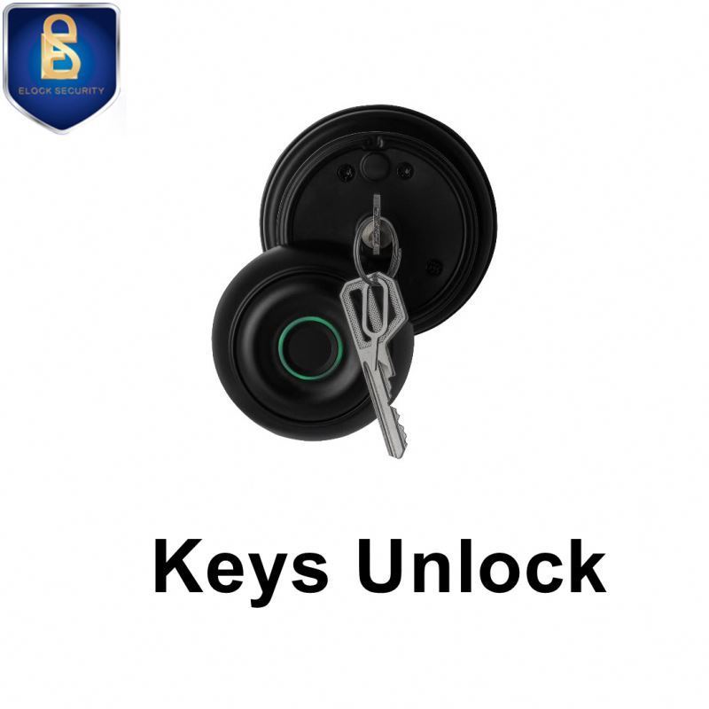 China Products ball outside keyless knob locks smart door lock round intelligent lock