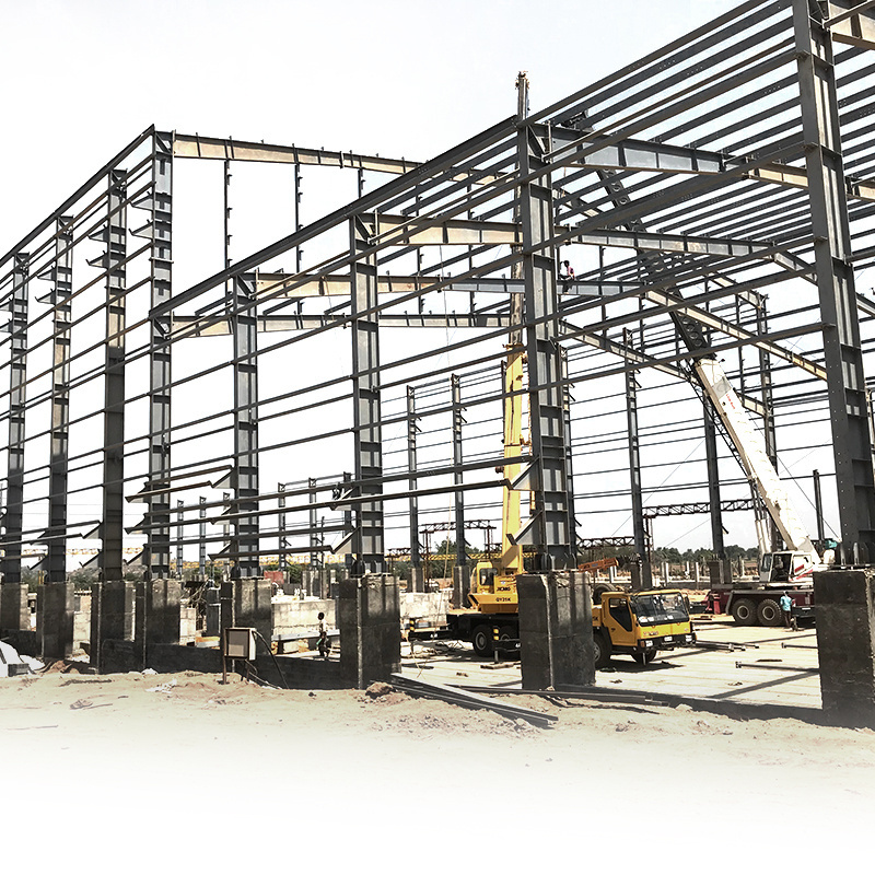 Customized Prefabricated Large Span Building Galvanized Light Steel Structure Chinese Storage Warehouse