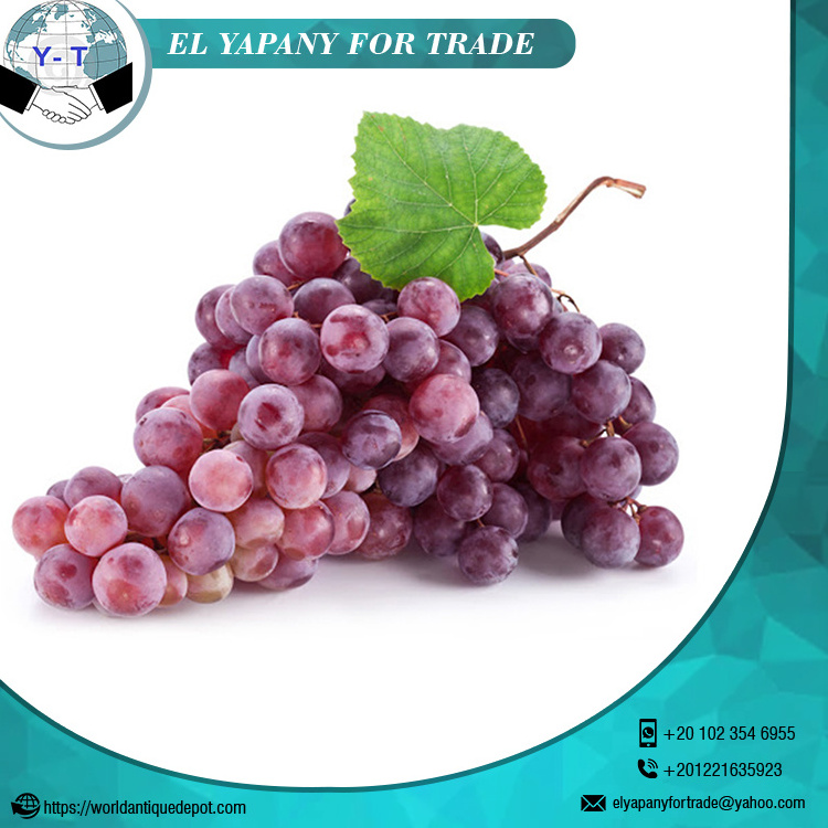 Fresh Red Grapes Crimson Seedless best price