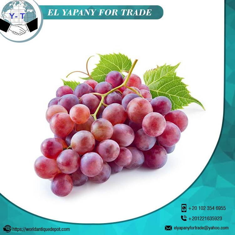 Fresh Red Grapes Crimson Seedless best price