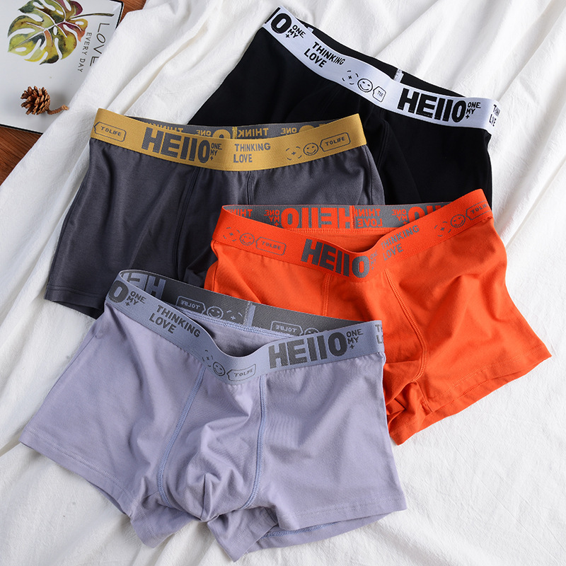 Free samples Hot Selling OEM Custom Logo Cotton fabric Mid-Rise Modal Men Boxers Briefs Underwear Panties