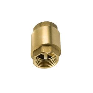 Top Quality Brass Non Return Vertical Check Valves Forged Brass Valves