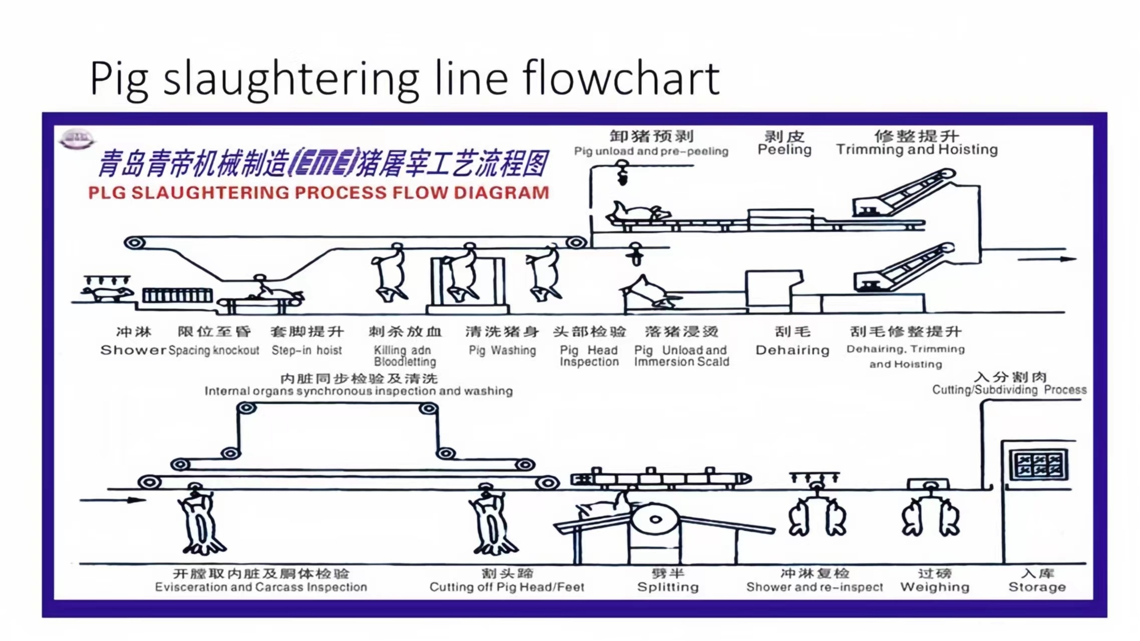 2000 Pig Per Day Slaughter Machine Carcass Electric Scalding Tank Abattoir Equipment For Pork  Meat Processing Line