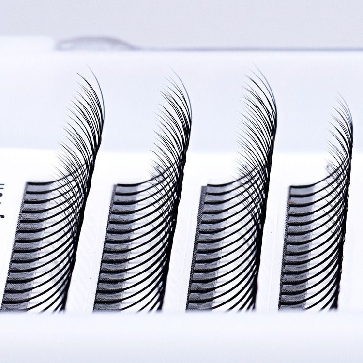 Private label Premade fan lash volume fans lash extensions 3d 4d 5d 6d 8d 9d 10d stick on the middle lash extensions vendors