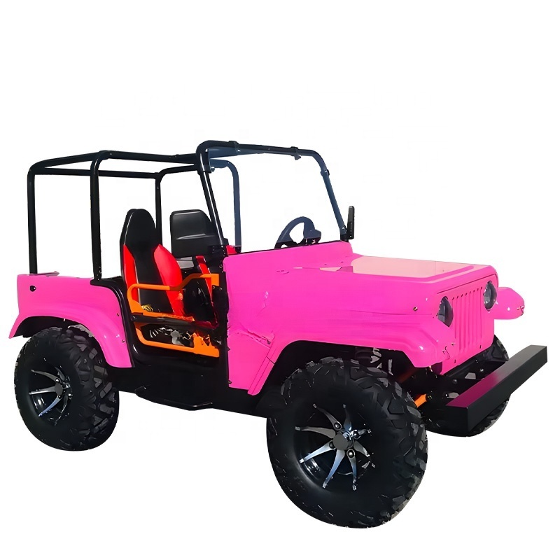 China EX-Factory Price Independent Design High Quality Hot Sale Mini Jeep 4 Seat