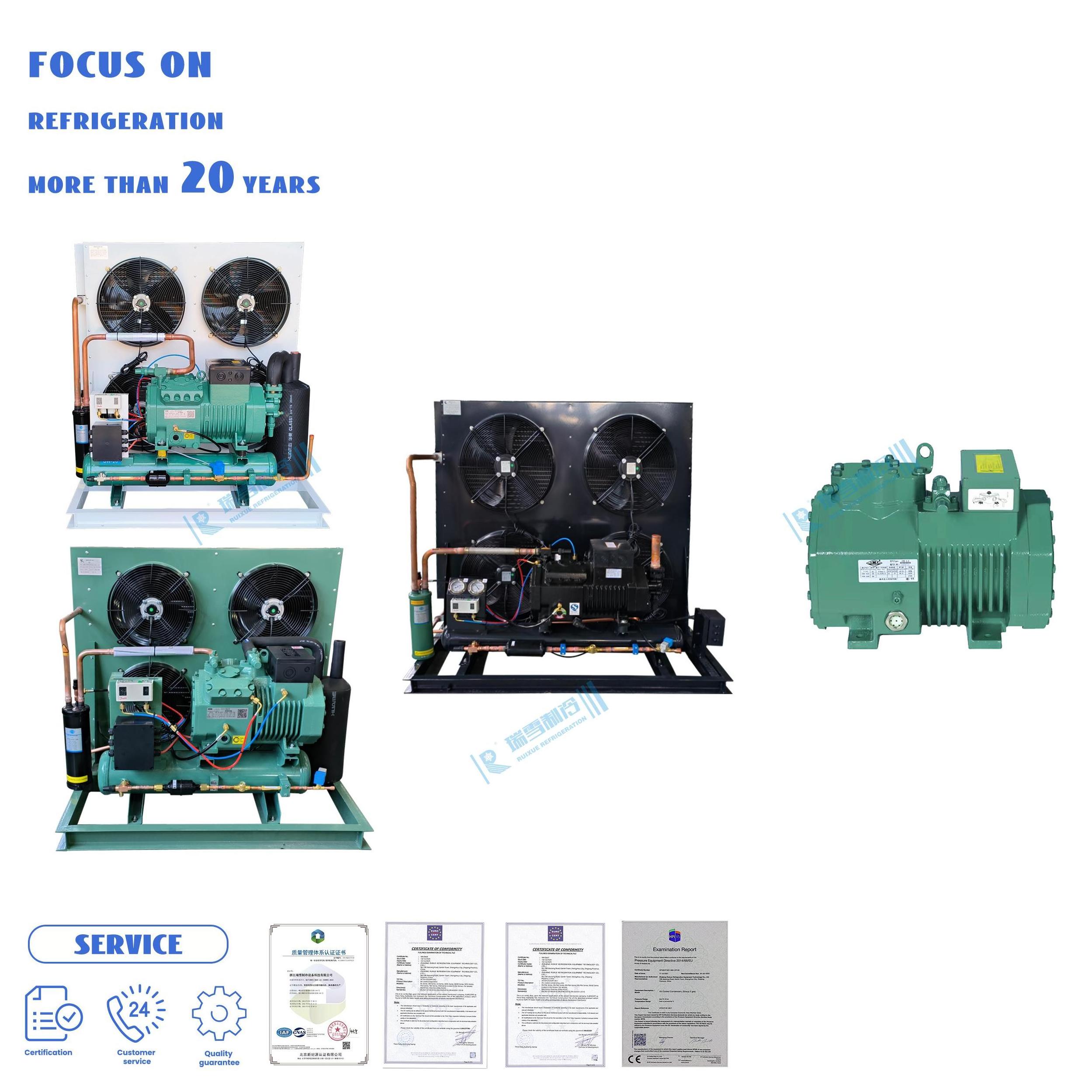 Factory Direct Sale Personalized Outdoor  Scroll Compressor Low Temperature Condensing Unit