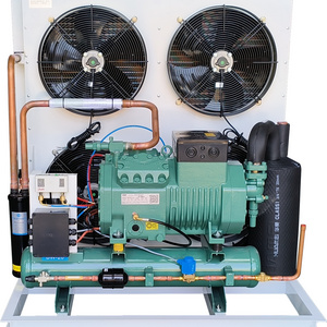 Low Failure  compressor Air Cooled Condensing Unit for chiller cold room