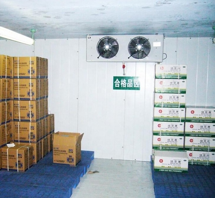 Walk in cooler pu insulation panels cold room with hinge/sliding door cuarto de frio