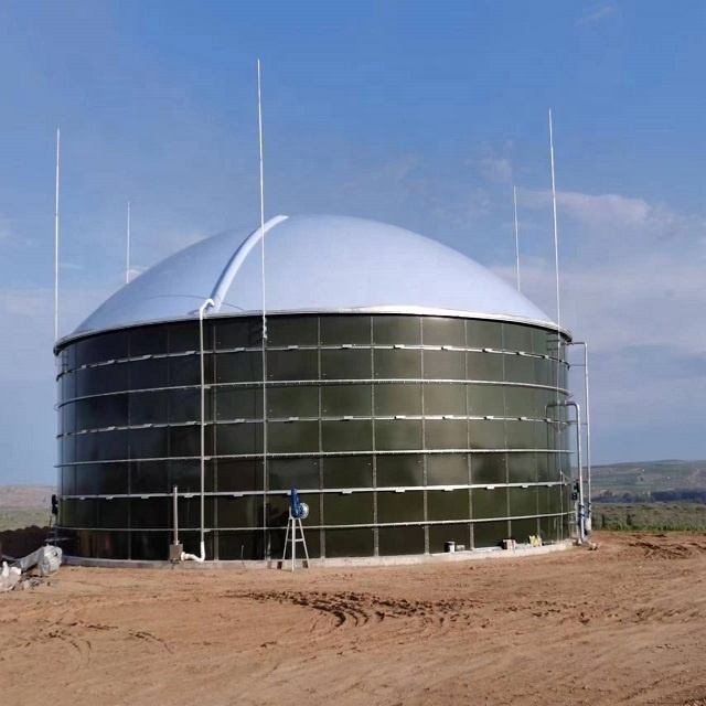 WS Factory Direct Sale Double Membrane Biogas Balloon used as Biogas Holder for Biogas Plant