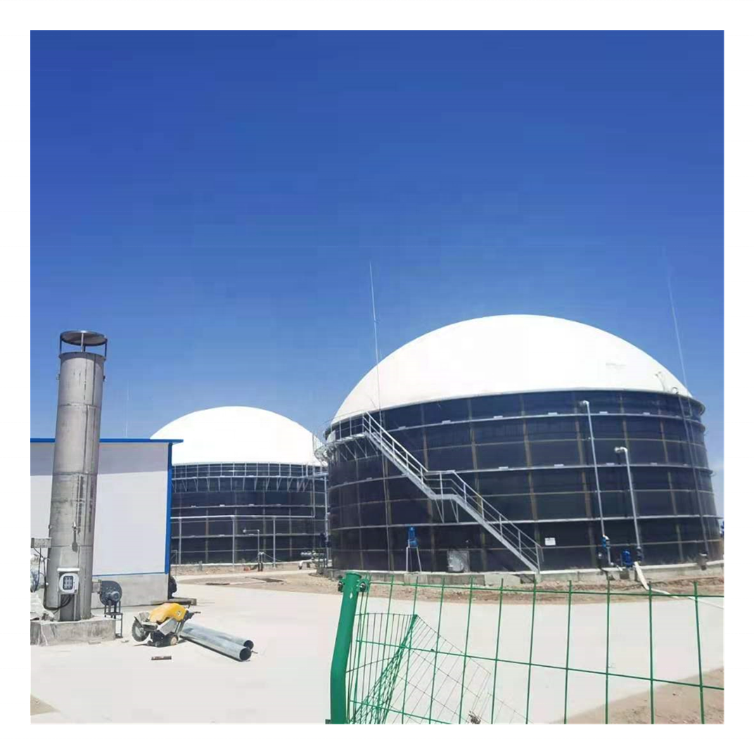 Energy biogas production design processing plant used Clean energy environmental protection equipment by Biogas purification