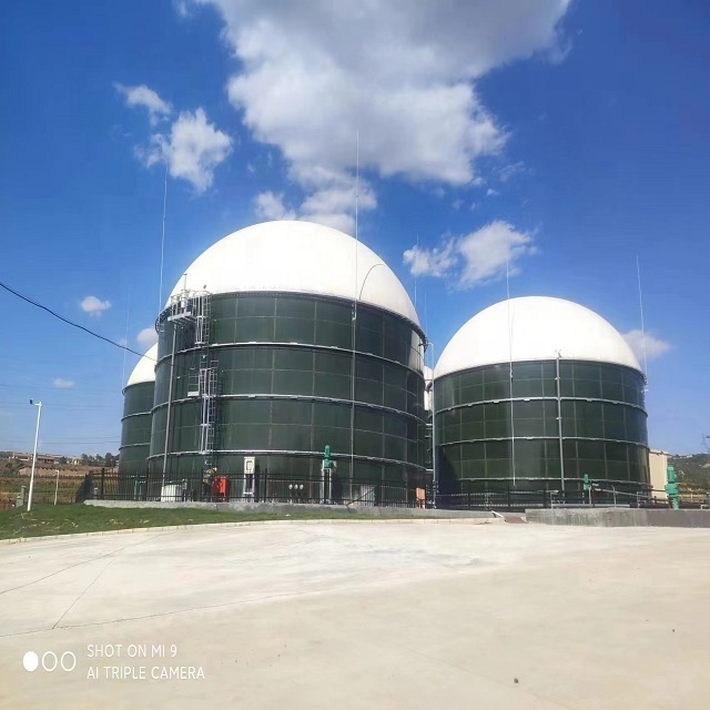 WS Factory Direct Sale Double Membrane Biogas Balloon used as Biogas Holder for Biogas Plant