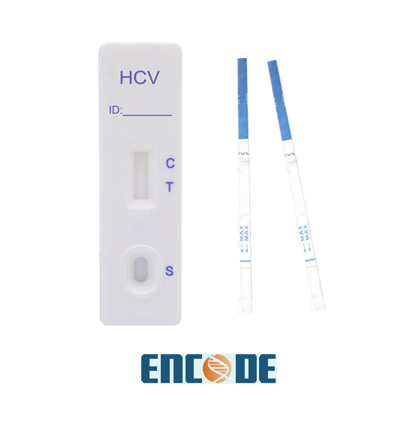 HCV Hepatitis C Antibody Rapid Test Kit HAV HCV HBsAg HBsAB Hepatitis Rapid Test Kits