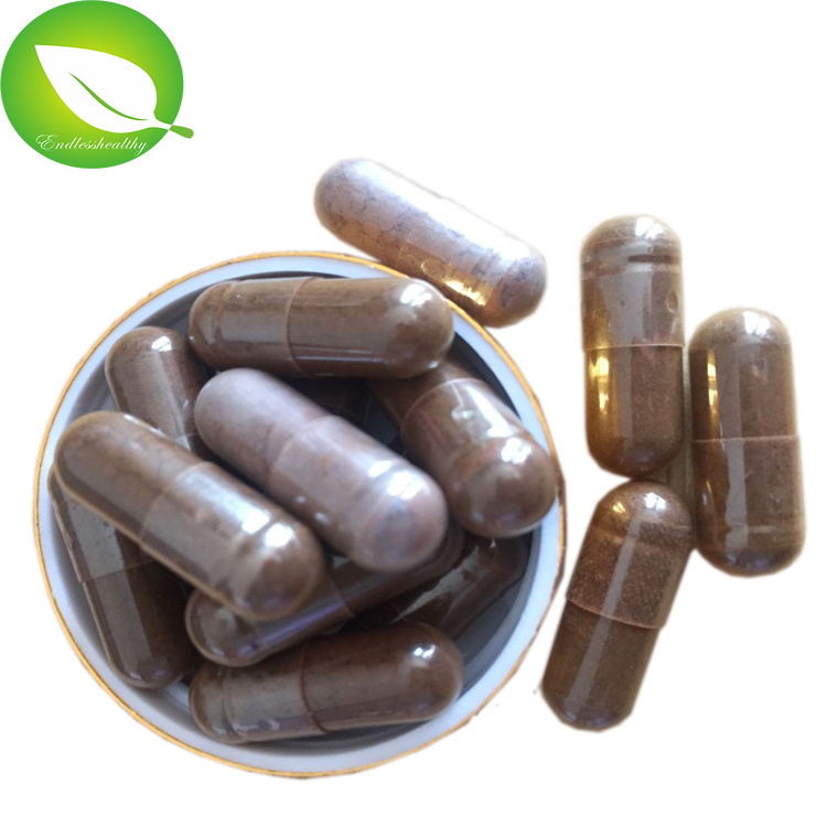 Best Quality  Immune System 500mg Ganoderma Lucidum Spore Powder Capsule Herbal Supplements Red Reishi Capsules