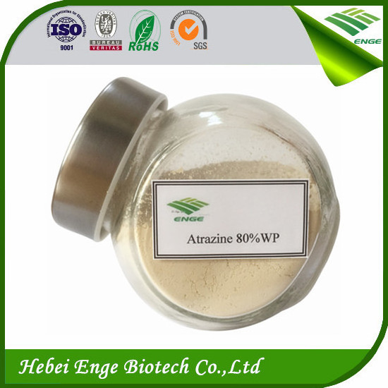 High activity Herbicide Atrazine 80 WP agricultural pesticide