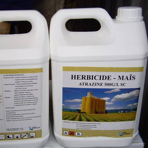 Herbicide Atrazine 50%SC,80%WP