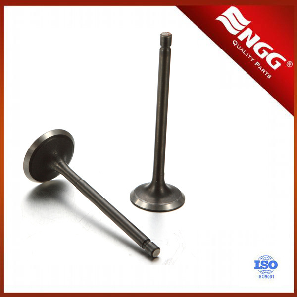 for TVS king engine valve