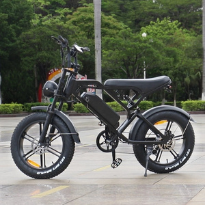 US EU Warehouse 20inch Full suspension V20 750w electric bike fat tire bicycle beach cruise e-bike all terrain off road ebike