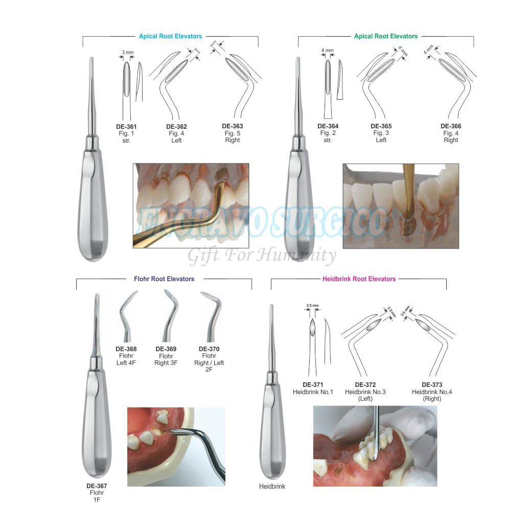 German Quality Professional Stainless Steel Dental Root Elevators Surgical Teeth Instruments Low Price