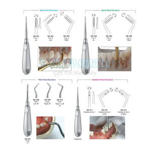 German Quality Professional Stainless Steel Dental Root Elevators Surgical Teeth Instruments Low Price