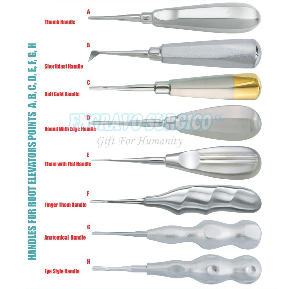 German Quality Professional Stainless Steel Dental Root Elevators Surgical Teeth Instruments Low Price