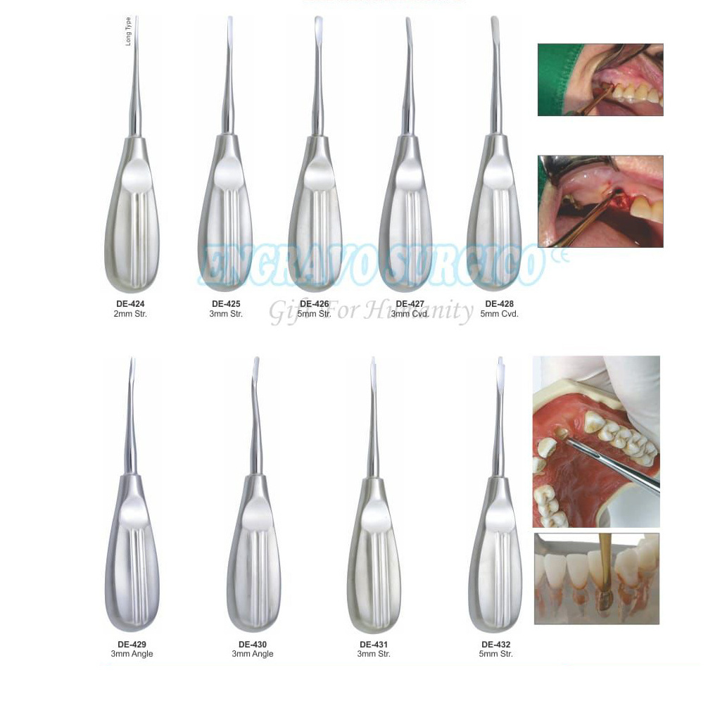 German Quality Professional Stainless Steel Dental Root Elevators Surgical Teeth Instruments Low Price