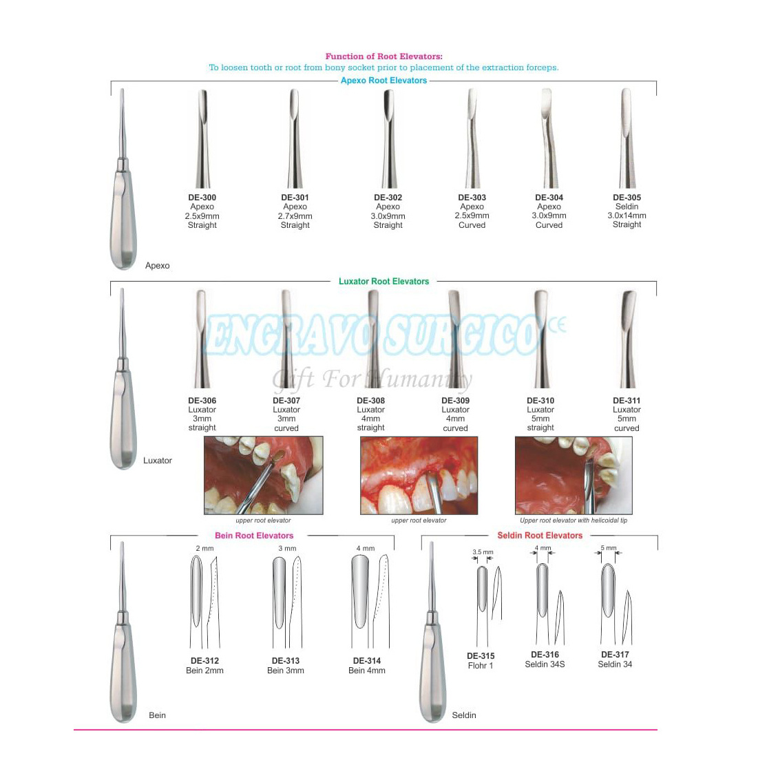 German Quality Professional Stainless Steel Dental Root Elevators Surgical Teeth Instruments Low Price