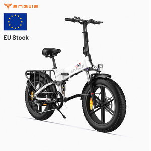 ENGWE ENGINE X 20in Fat Tire Electric Bicycle 48V 13Ah Foldable EV Bike 250W Electric Mountain Bike