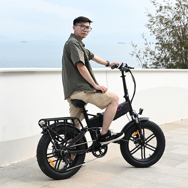 ENGWE ENGINE X 250W Foldable E Bike 20in Fat Tyre Electric Bike 48V 13Ah Li-ion Battery Electric Bike