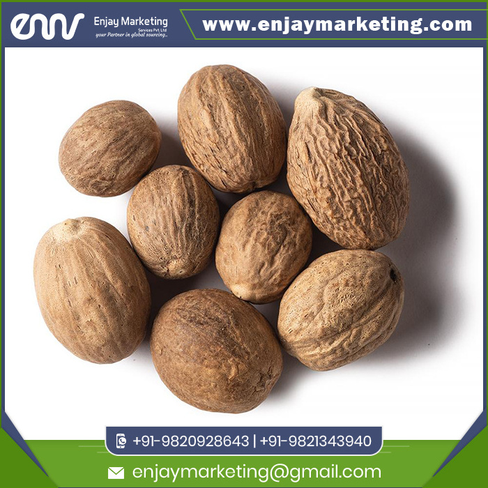 High Quality Natural Whole Nutmeg at Wholesale Price