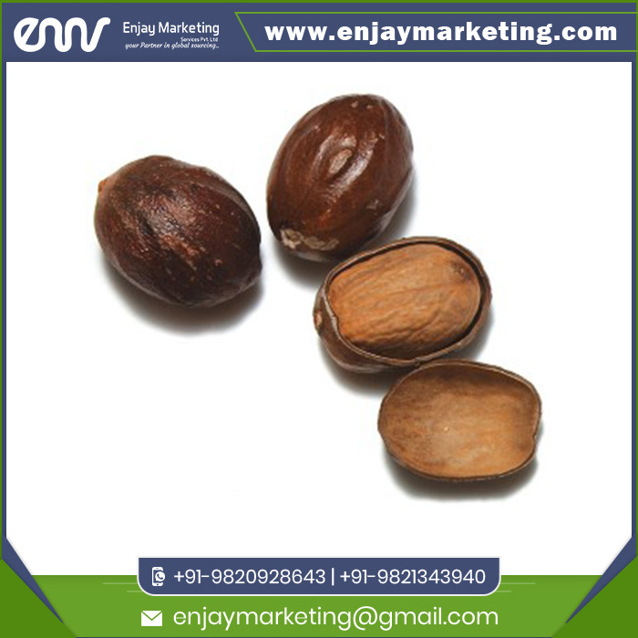 High Quality Natural Whole Nutmeg at Wholesale Price